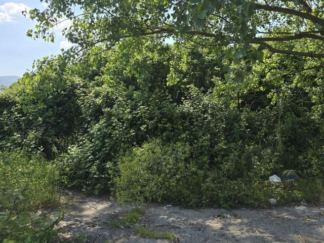 Terreno in vendita a Borgo Fontanelle, Montesarchio