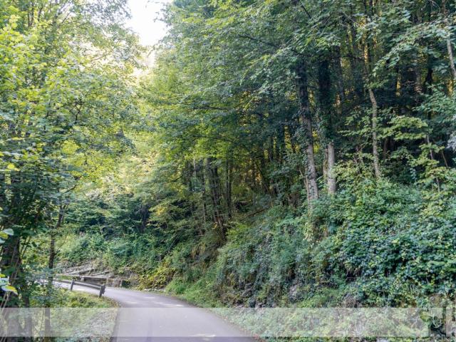 Terreno in vendita a Borgo Valbelluna, Villa Di Villa