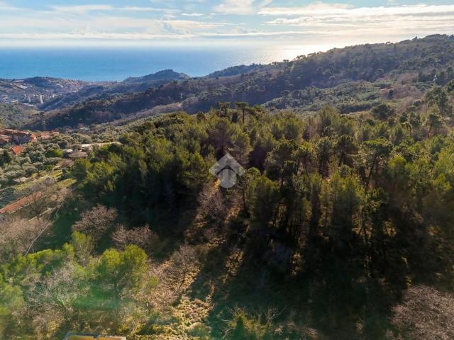 Terreno in vendita a Cipressa, Liguria