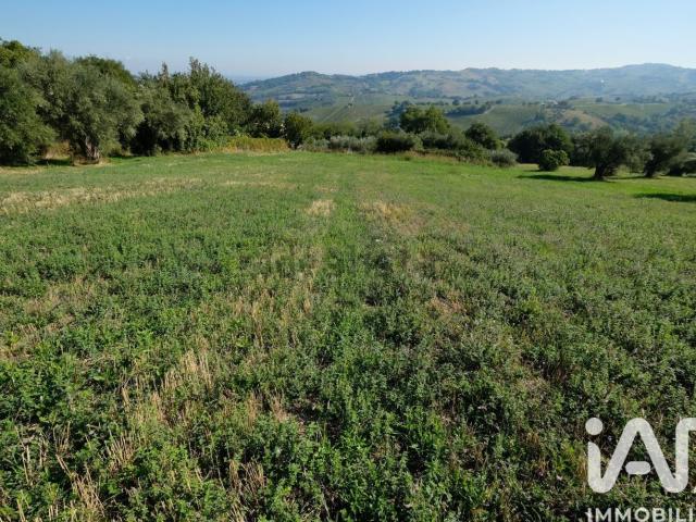 Terreno in vendita a Cupramontana, Ancona