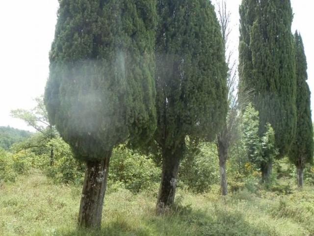 Terreno in vendita a Palazzo Del Pero, Toscana