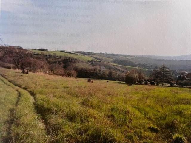 Terreno in vendita a Marche, Ancona