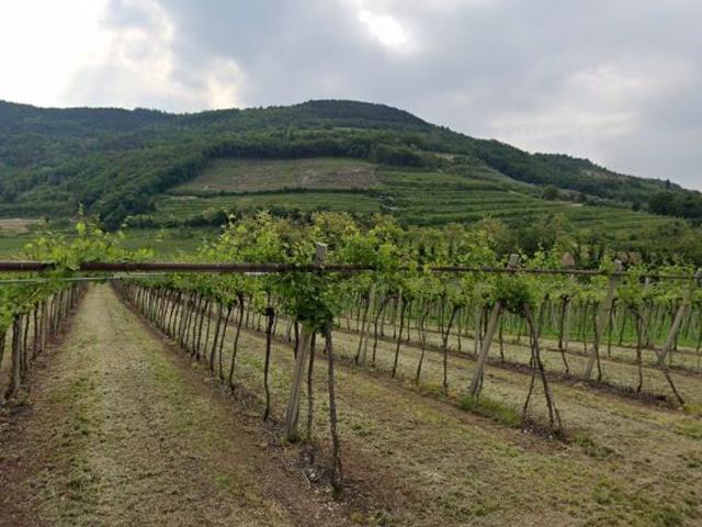 Terreno in vendita a Tregnago, Veneto
