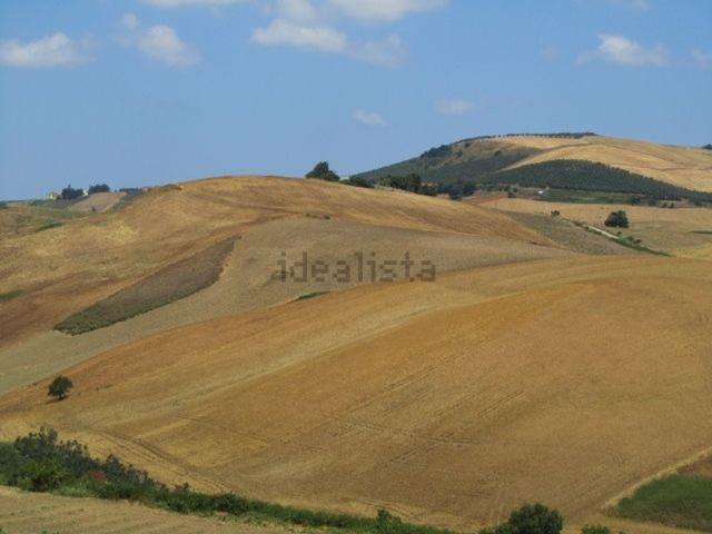 Terreno in vendita a Guglionesi, Molise