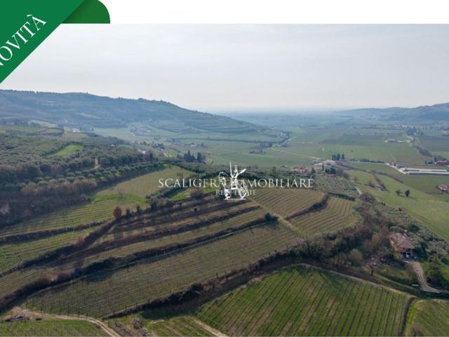 Terreno in vendita a Mezzane Di Sotto, Veneto