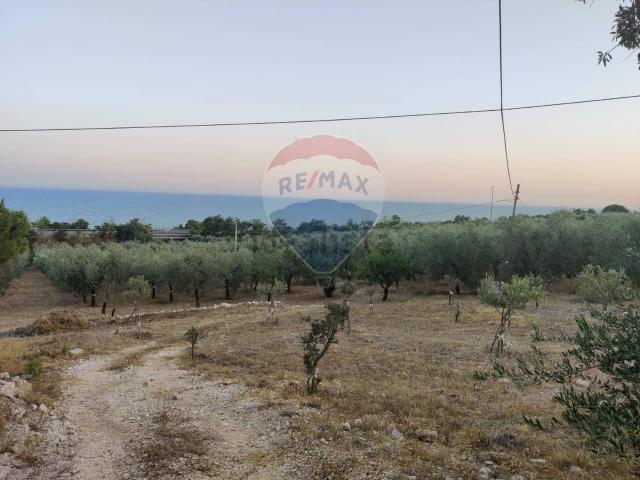 Terreno in vendita a Puglia, Foggia
