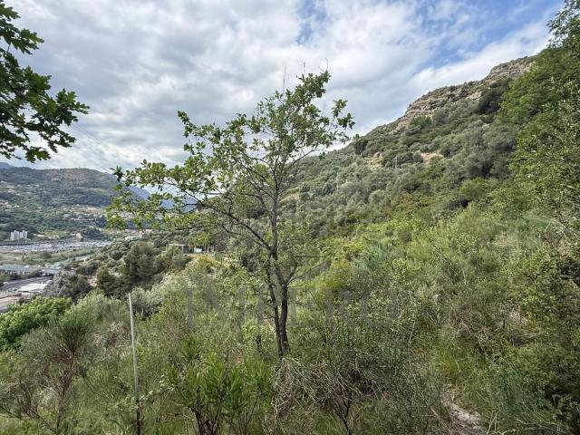 Terreno in vendita a Ventimiglia, Liguria