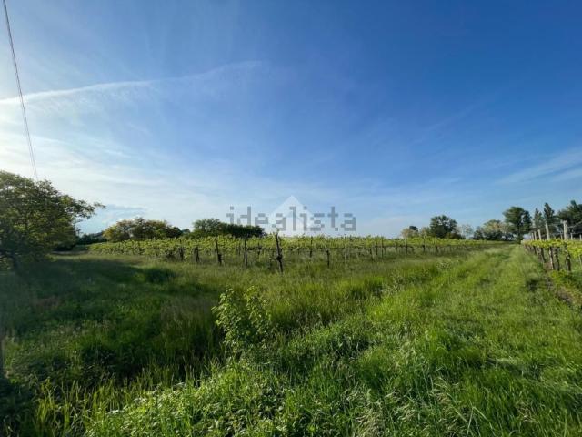 Terreno in vendita a Pianura Reggiana, Re