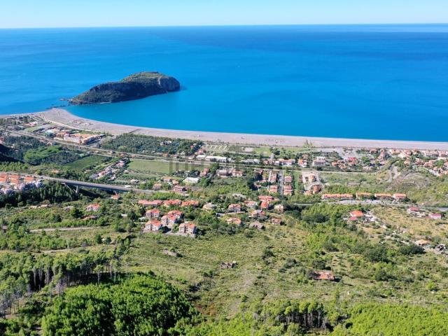 Terreno in vendita a Foresta, Calabria