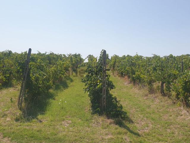 Terreno in vendita a Orvieto, Umbria