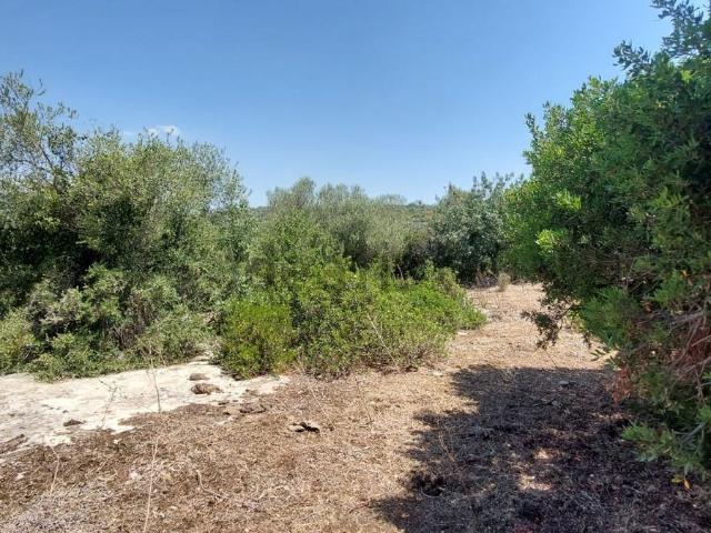 Terreno in vendita a Noto, Sicilia