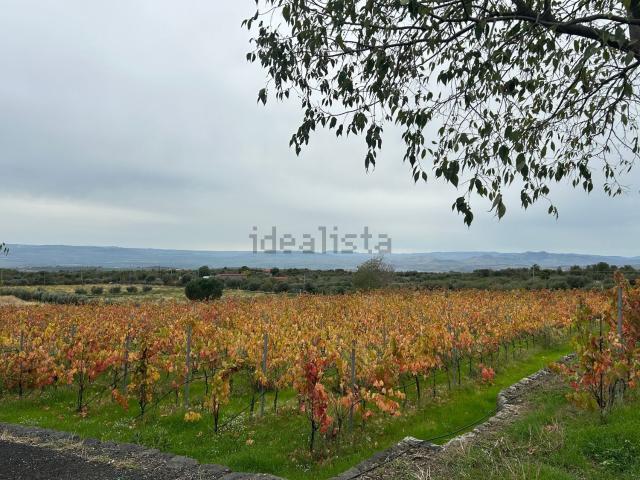 Terreno in vendita a Belpasso, Sicilia