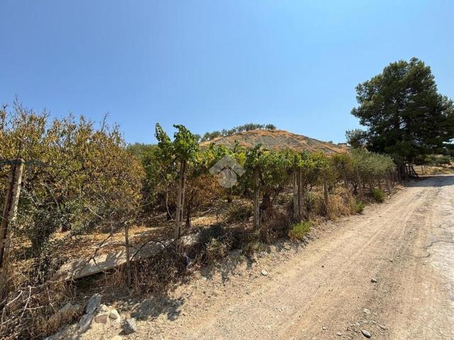 Terreno in vendita a Corigliano-Rossano, Calabria