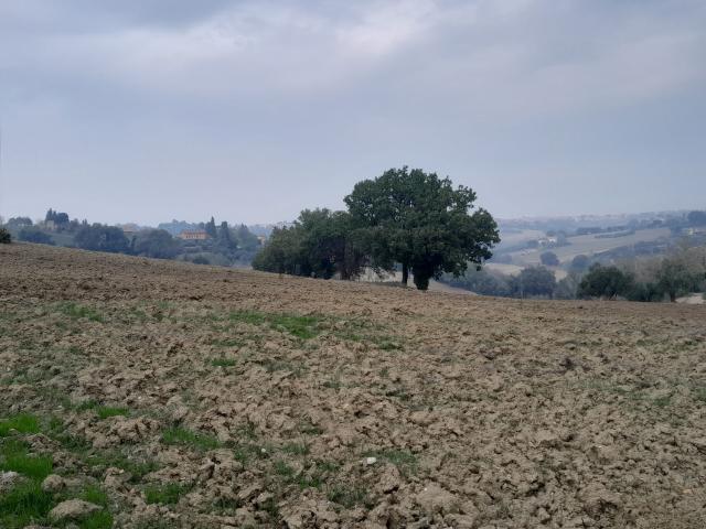 Terreno in vendita a Marche, Pesaro E Urbino