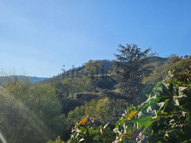 Terreno in vendita a Calabria, Catanzaro