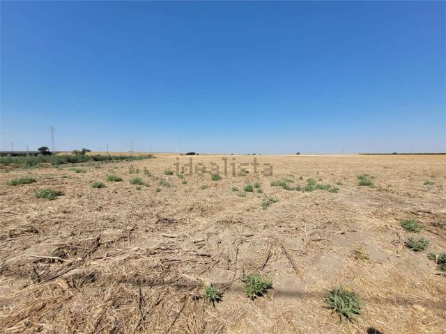 Terreno in vendita a Puglia, Foggia
