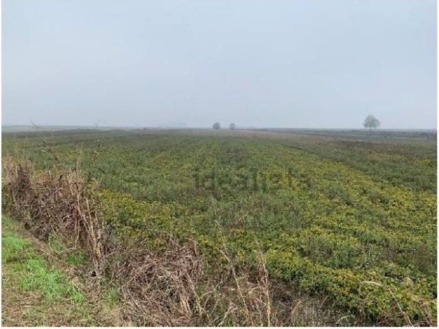 Terreno in vendita a Legnago, Verona
