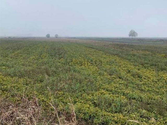 Terreno in vendita a Legnago, Veneto
