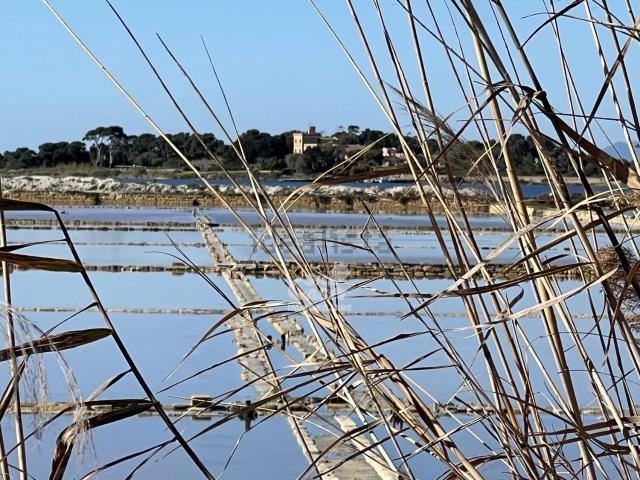 Terreno in vendita a Santi Filippo e Giacomo, Marsala