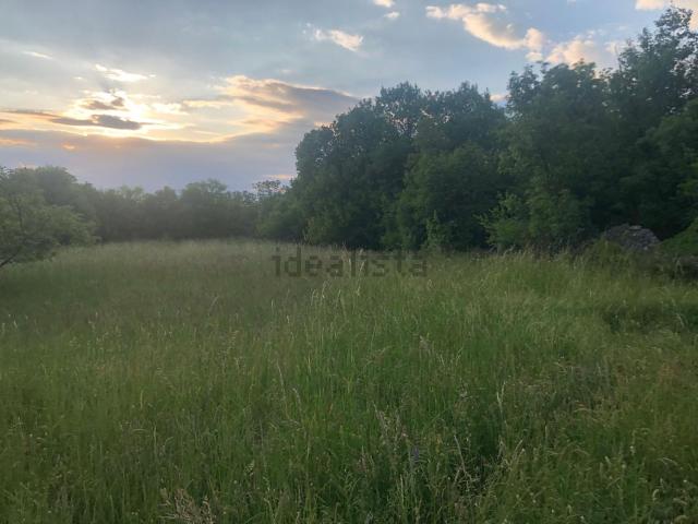 Terreno in vendita a Sgonico, Friuli-Venezia Giulia