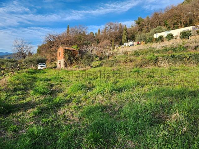 Terreno in vendita a Vallebona, Liguria