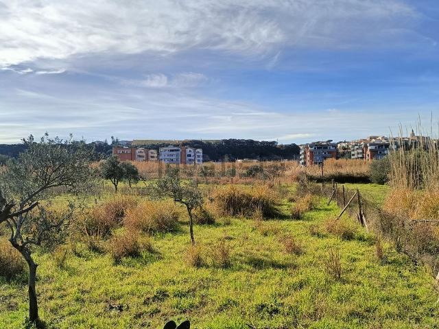 Terreno in vendita a Case FIAT, Campomarino