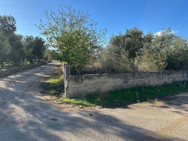 Terreno in vendita a Puglia, Bari