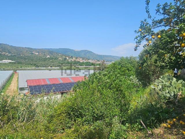 Terreno in vendita a Calabria, Catanzaro