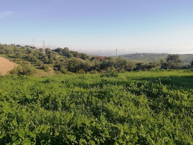 Terreno in vendita a Sciacca, Sicilia