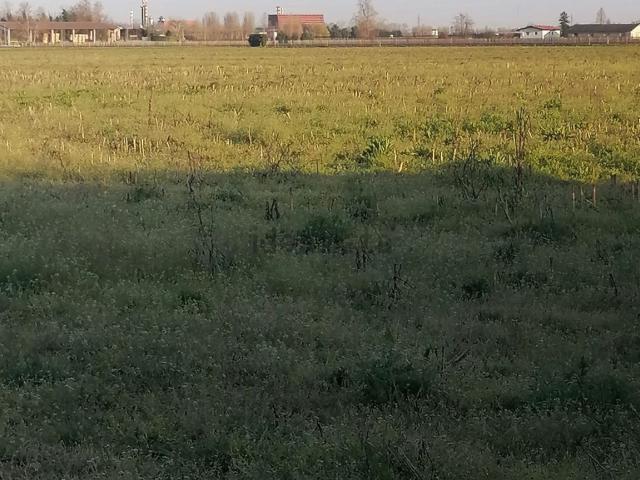 Terreno in vendita a Sud-Est, Brenzone
