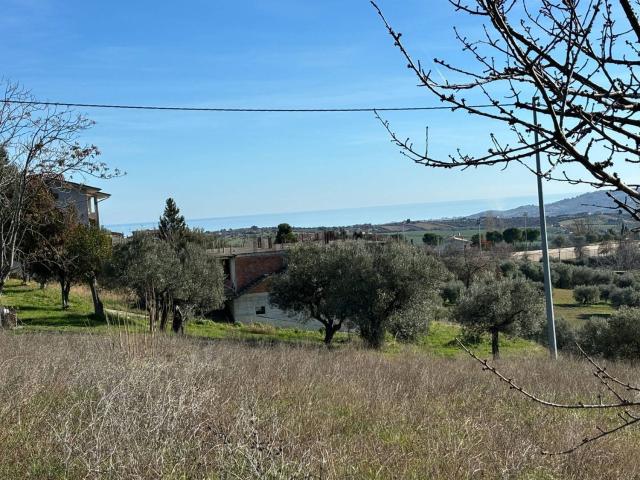 Terreno in vendita a Controguerra, Teramo