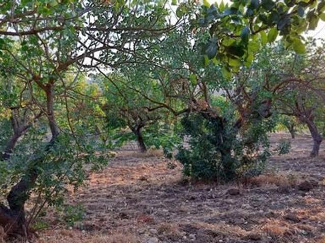Terreno in vendita a Cianciana, Agrigento