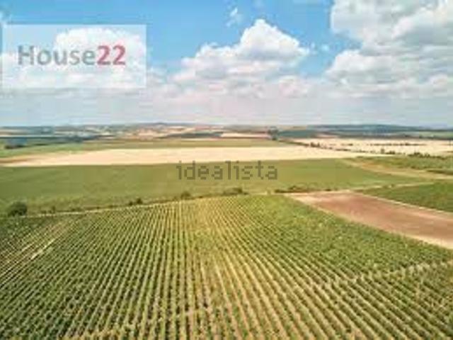 Terreno in vendita a Gazzo Padovano, Veneto