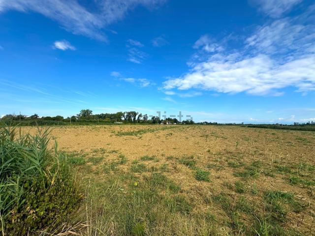 Terreno in vendita a San Giorgio Di Nogaro, Friuli-Venezia Giulia