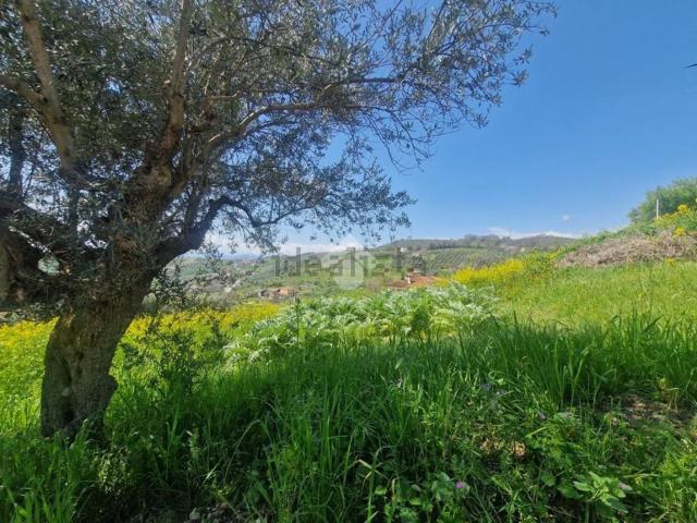Terreno in vendita a Notaresco, Abruzzo