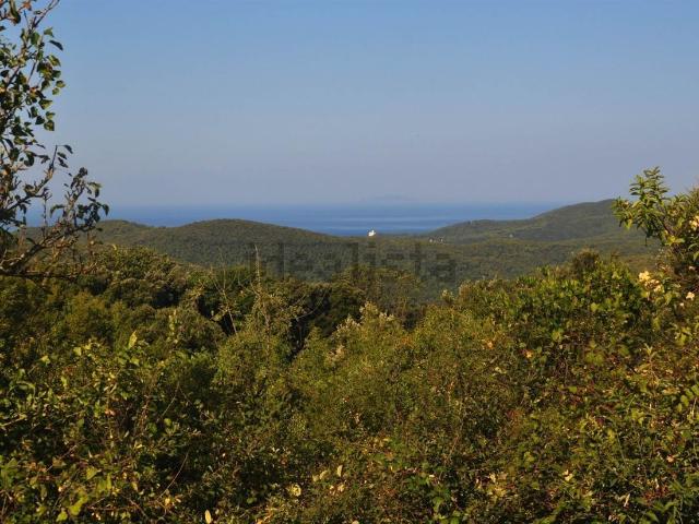 Terreno in vendita a Rosignano Marittimo, Toscana