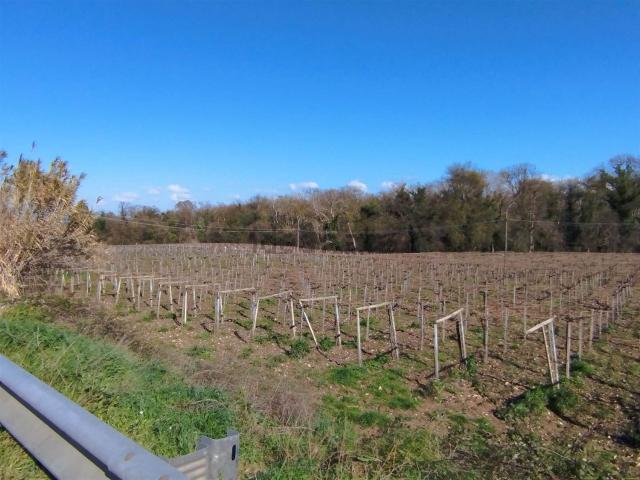 Terreno in vendita a Pollutri, Abruzzo