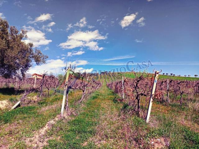 Terreno in vendita a Giulianova, Abruzzo