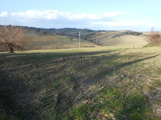 Terreno in vendita a Marche, Ancona