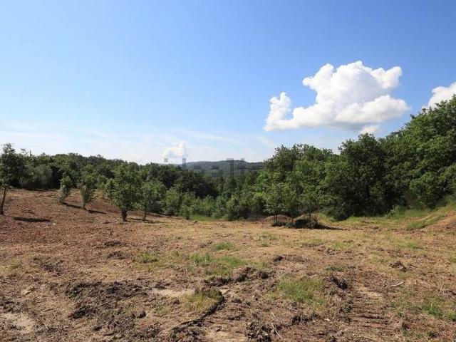 Terreno in vendita a Pieve Di Sinalunga, Toscana