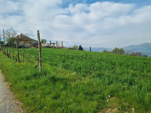 Terreno in vendita a Ponte dell'Olio, Piacenza