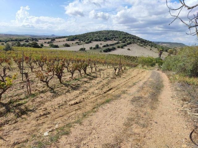 Terreno in vendita a Serdiana, Sardigna/Sardegna
