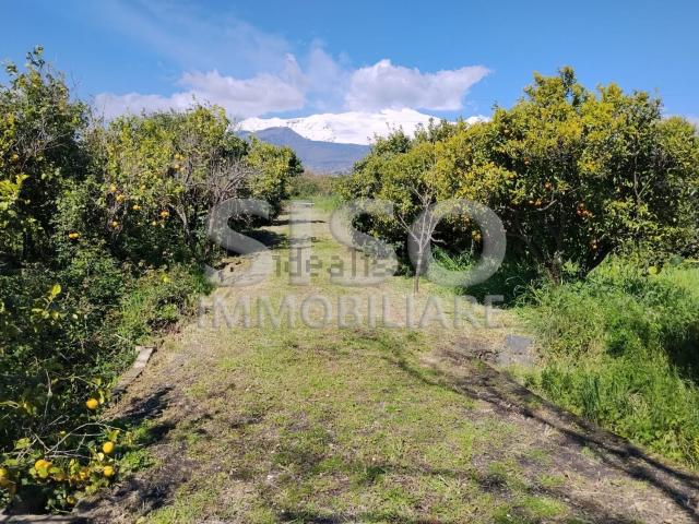 Terreno in vendita a Santa Venerina, Sicilia