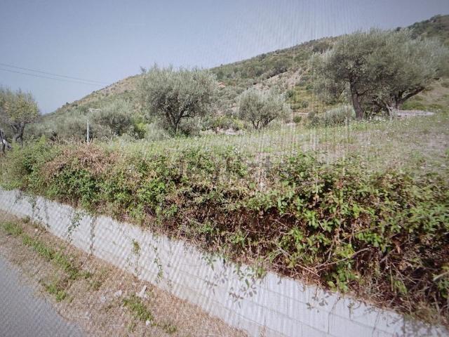 Terreno in vendita a San Giovanni, Sant'agata Di Militello