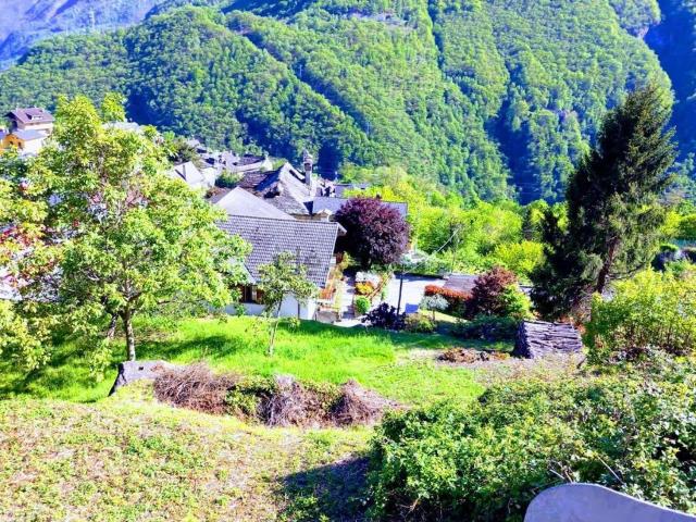 Terreno in vendita a Bannio Anzino, Piemonte