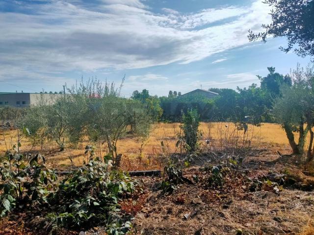 Terreno in vendita a Giarre, Sicilia