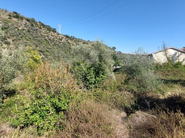 Terreno in vendita a Pietrabruna, Liguria
