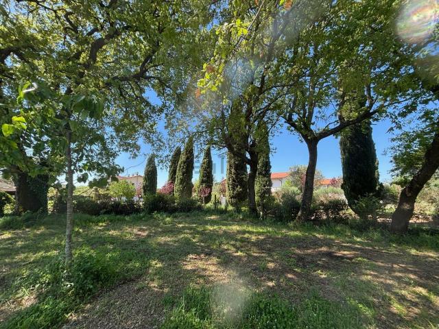 Terreno in vendita a Bolsena, Viterbo