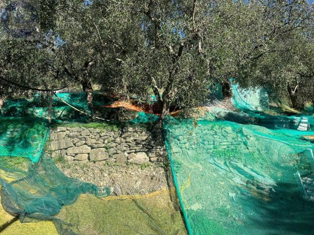 Terreno in vendita a Civezza, Liguria