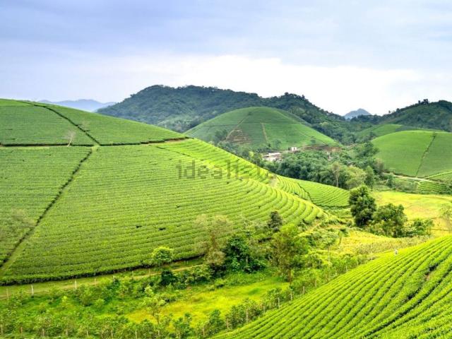 Terreno in vendita a San Tomio, Malo